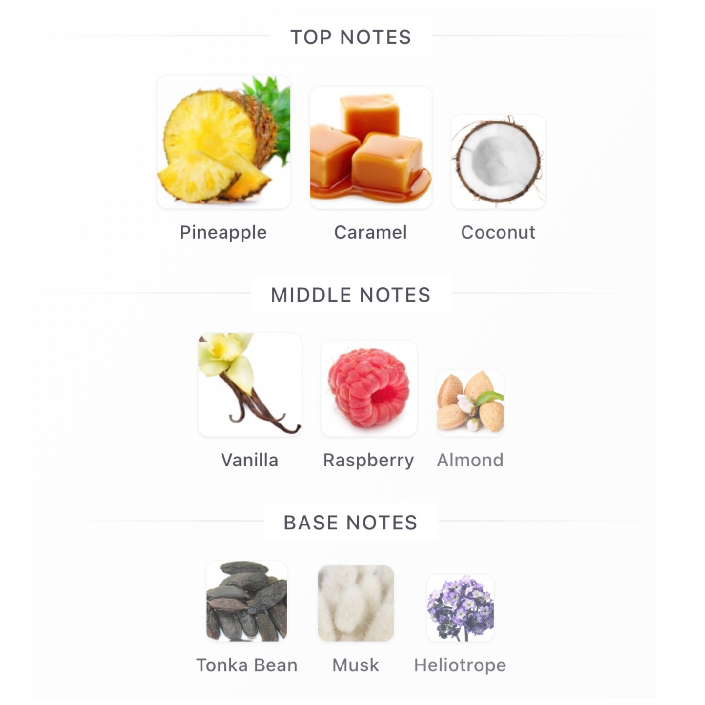 Nota Sugar by Ulyka Eau De Parfum