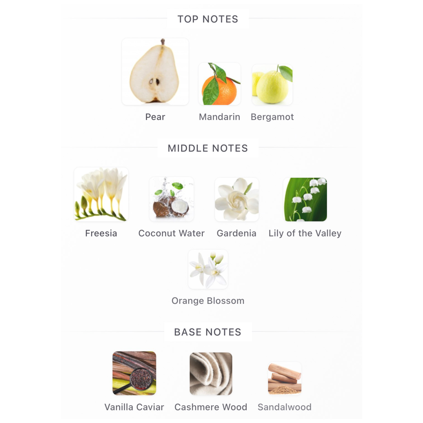 KayAli Eden Plush Pear 23 Eau de Parfum