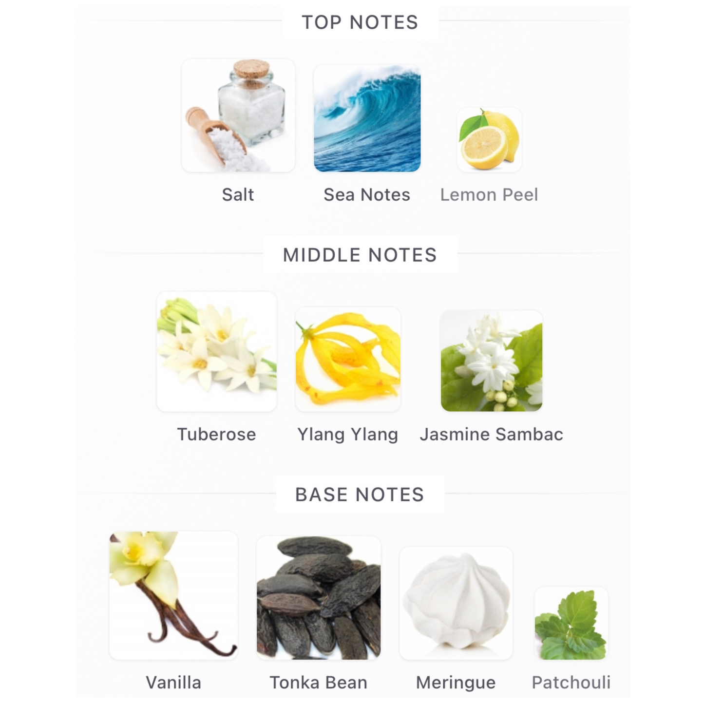 Jean Paul Gaultier Gaultier Divine Elixir Parfum