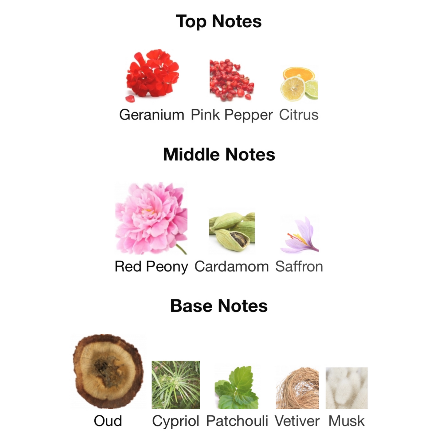 Tom Ford Oud Voyager Eau de Parfum