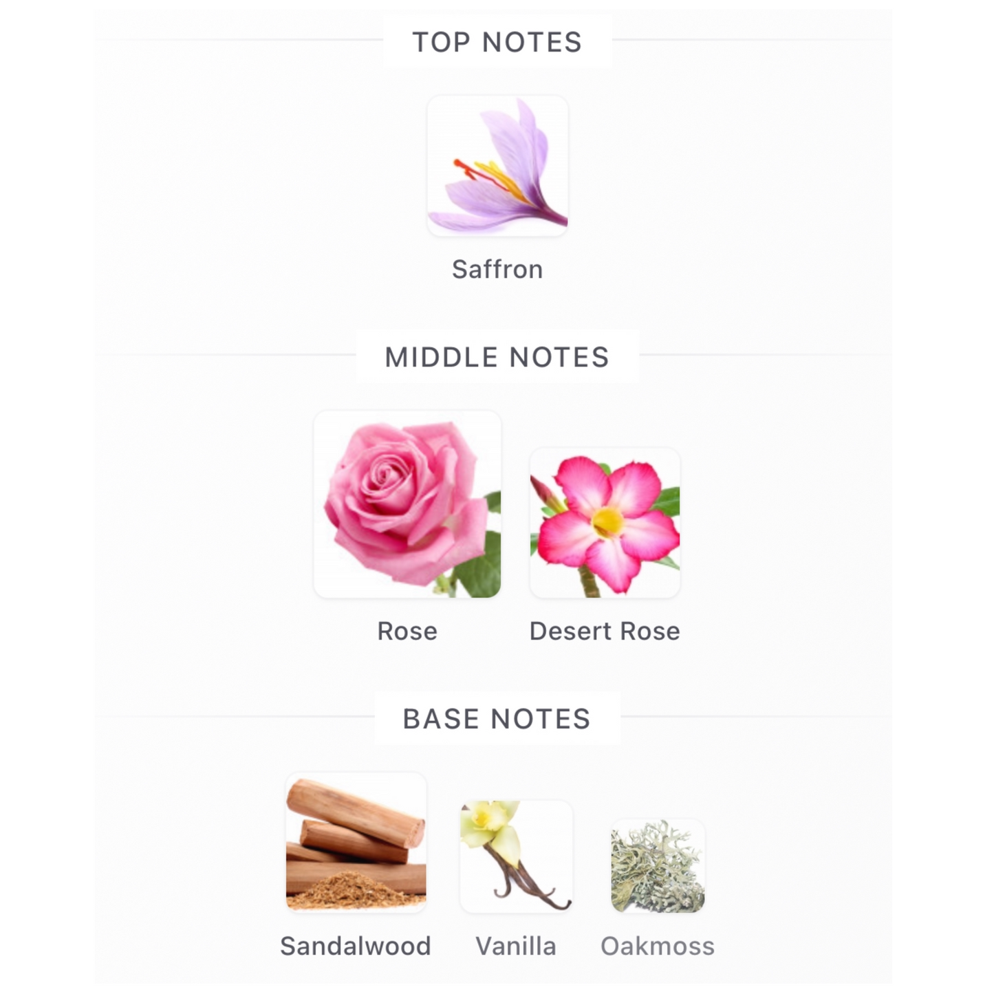 Burberry Rose Ember Eau de Parfum