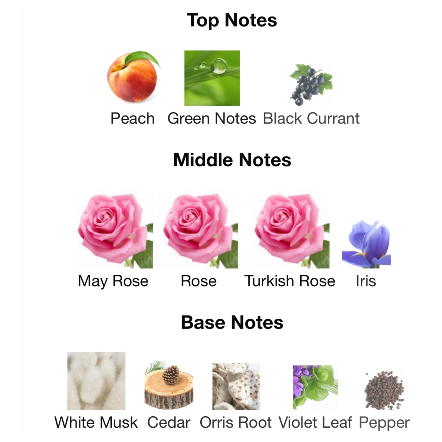 Louis Vuitton Rose Des Vents Eau De Parfum