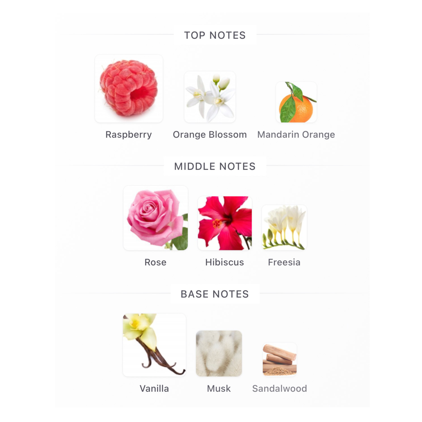 Jimmy Choo I Want Choo With Love Eau De Parfum