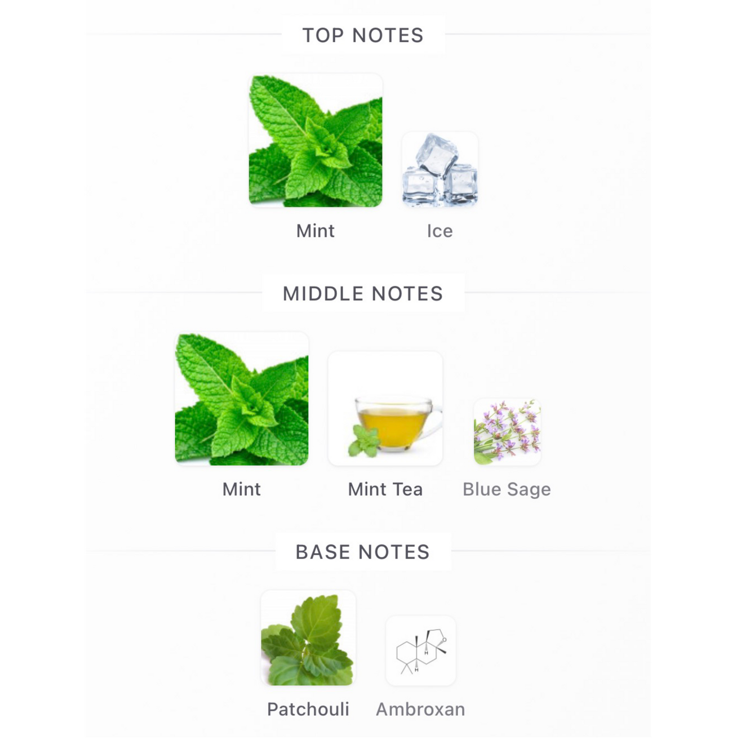 YSL Y Iced Cologne Eau De Toilette