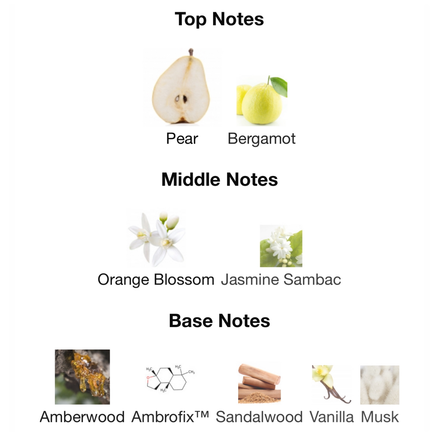 EX NIHILO Blue Talisman Extrait de Parfum