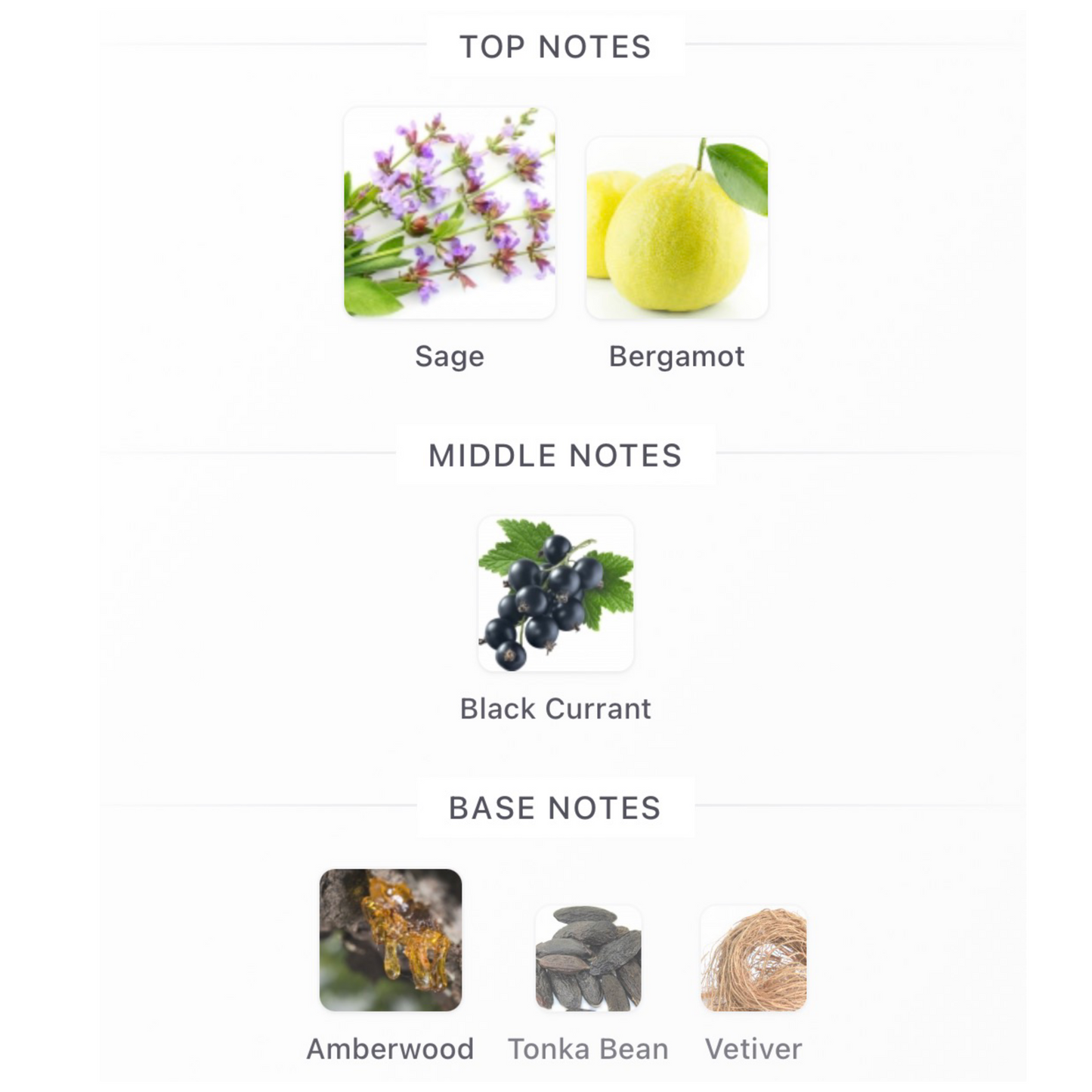 Ex Nihilo Speed Legends Eau de Parfum