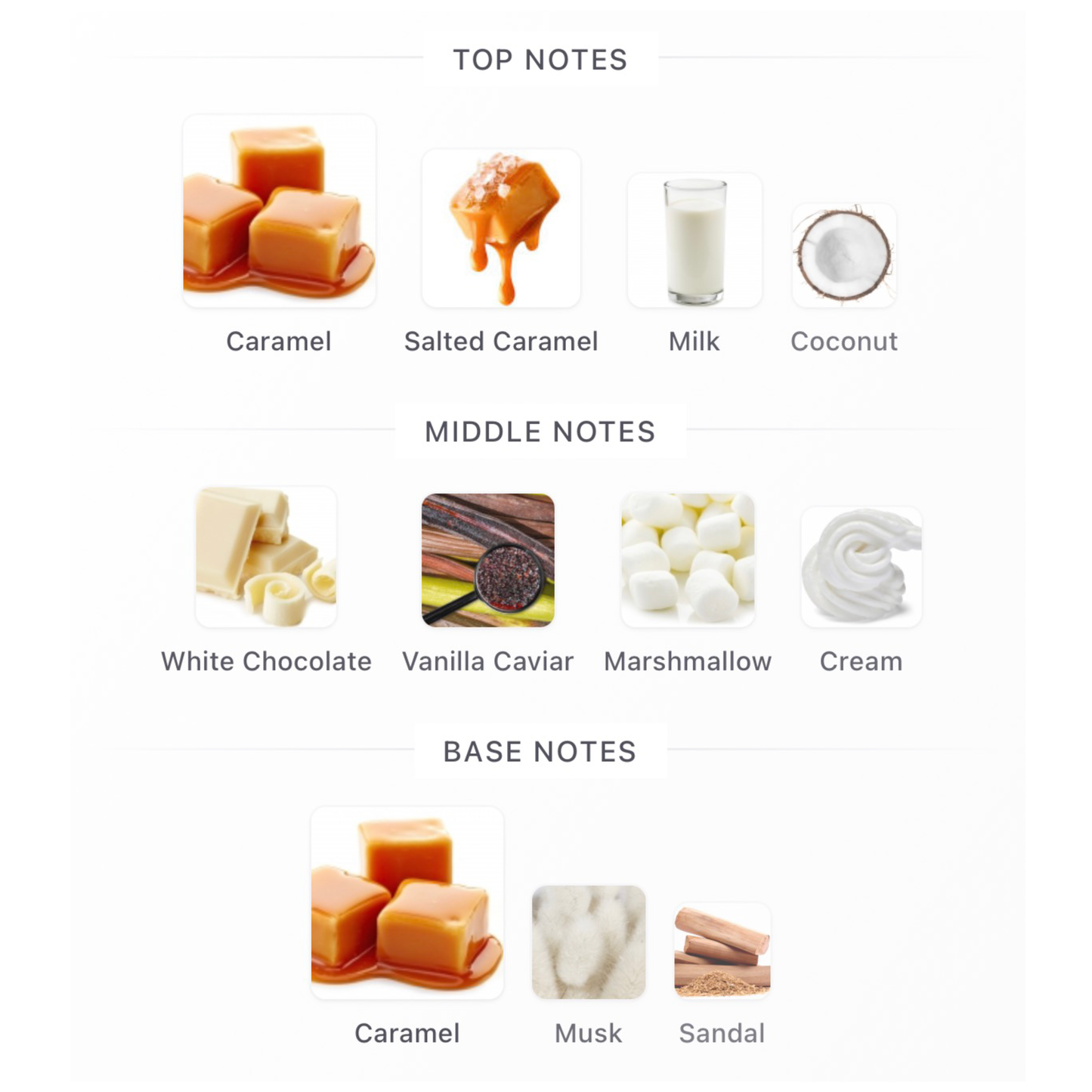 KayAli Boujee Kitty Caramel Milk 22 Eau de Parfum