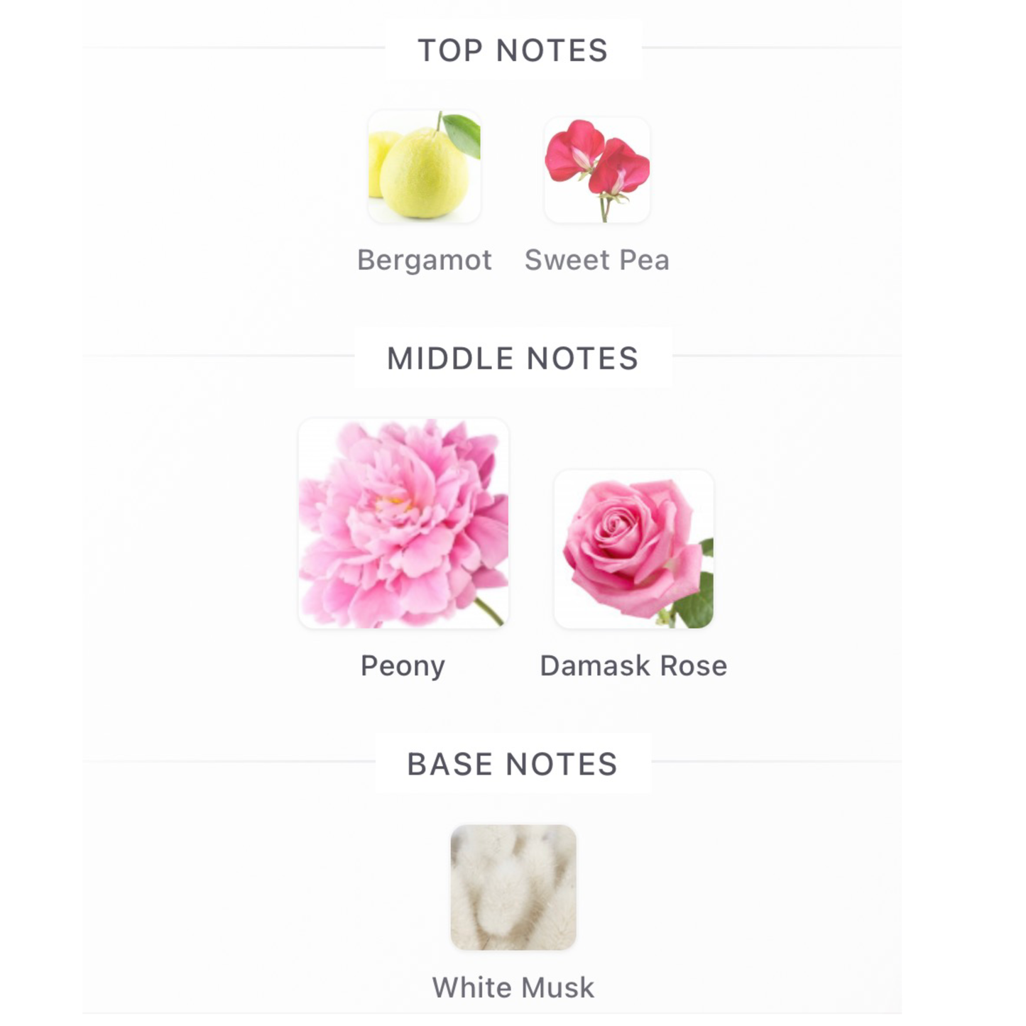 Miss Dior Blooming Bouquet Eau De Toilette