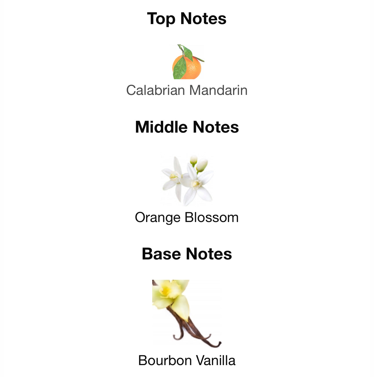 Valentino Donna Born In Roma Pink PP Eau De Parfum