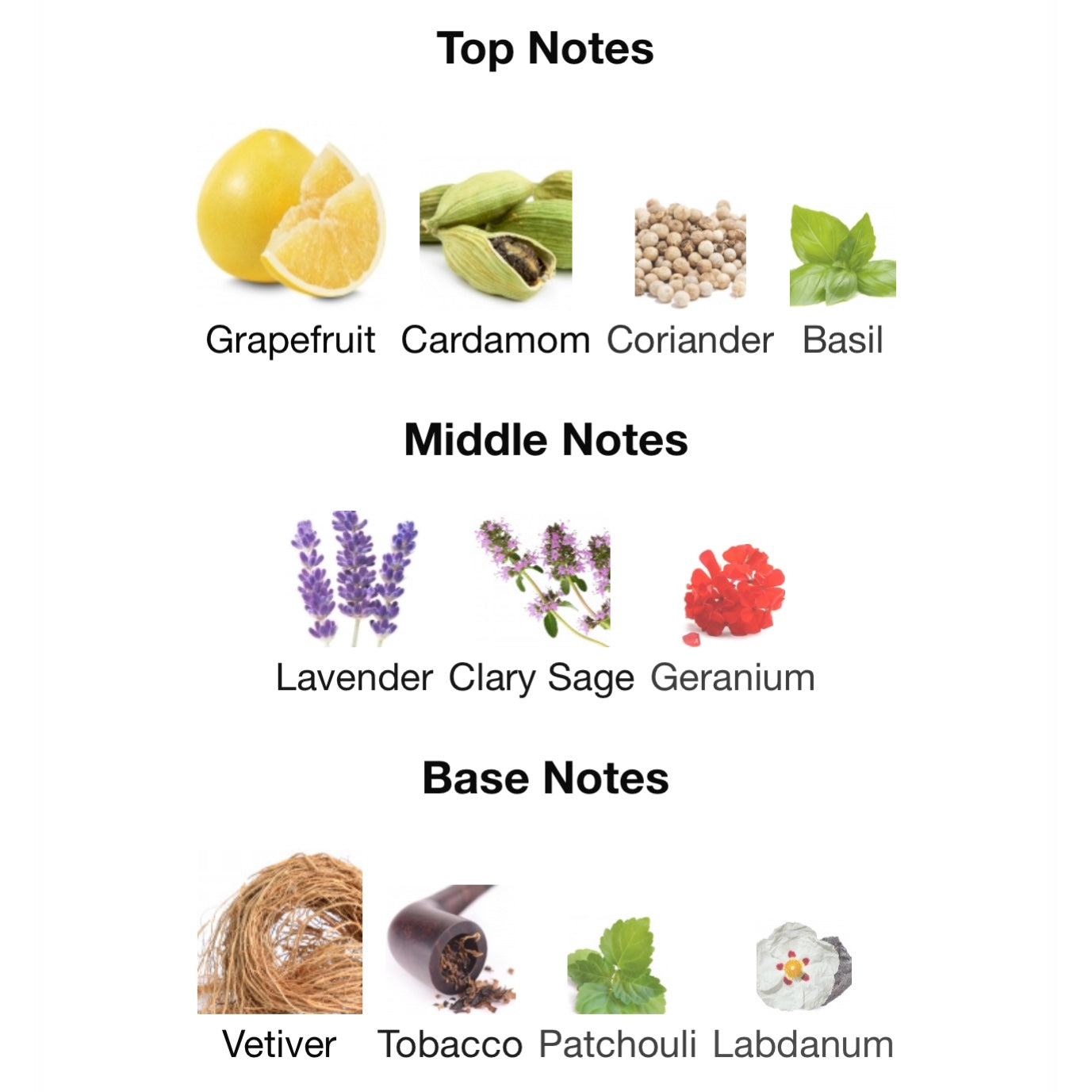 Dolce & Gabanna The One Grey Eau De Toilette