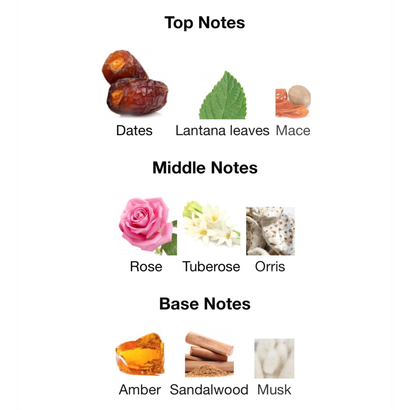 Bond .9 Le Parfum Du Salon Eau De Parfum