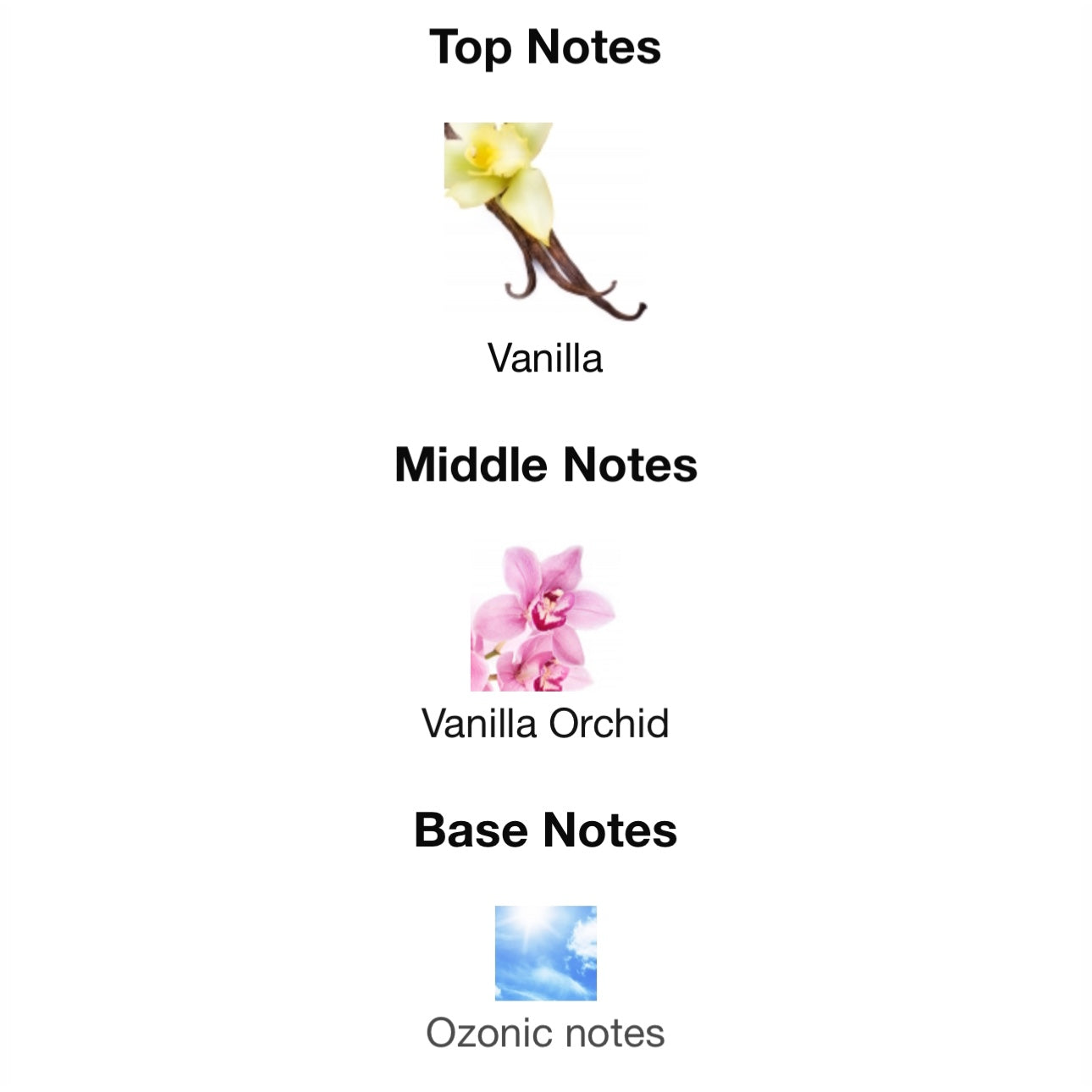 Gucci Flora Gorgeous Orchid Eau De Parfum