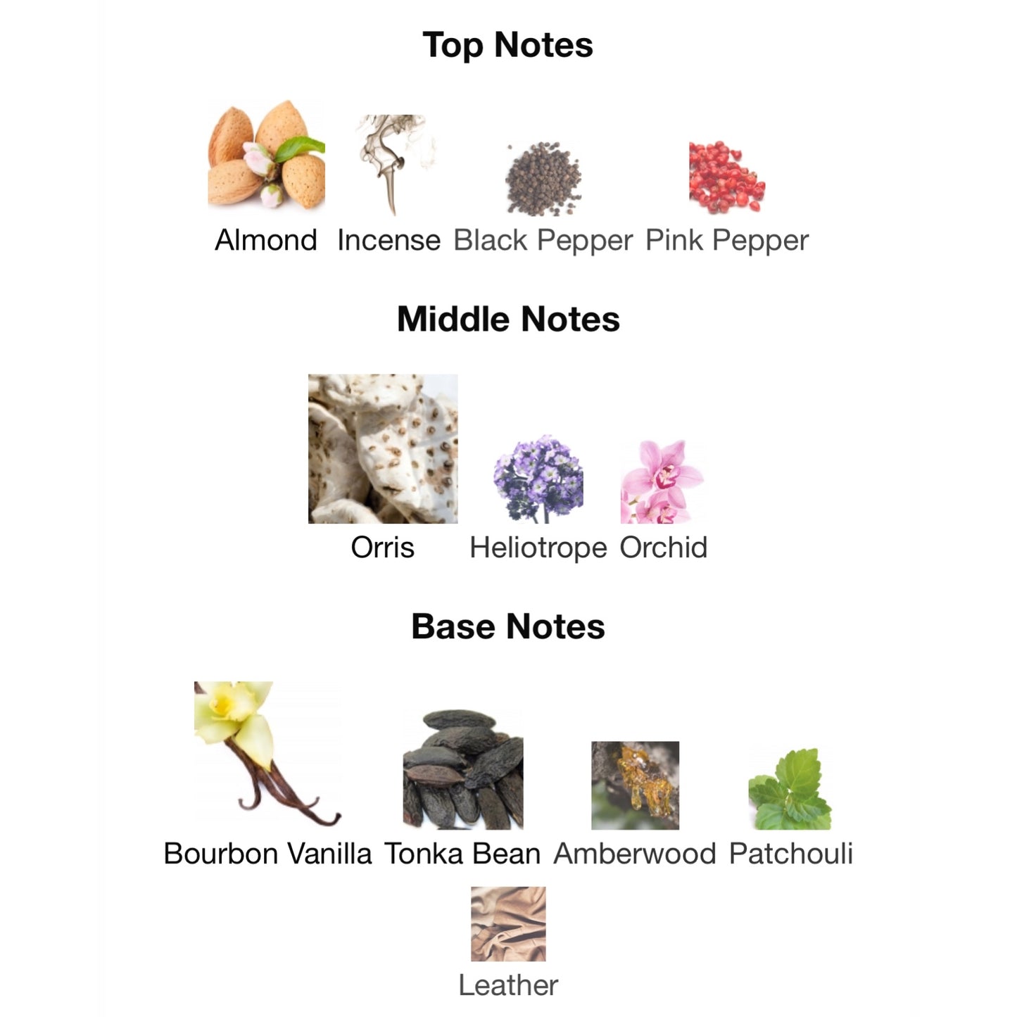 Creed Delphinus Eau De Parfum