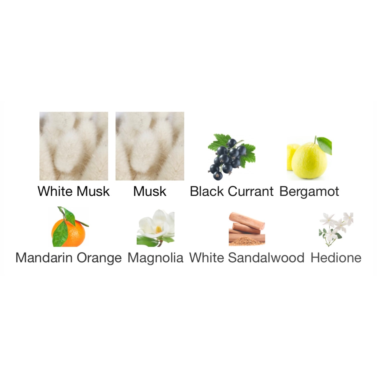 Musk Therapy By Initio Parfums Eau De Parfums