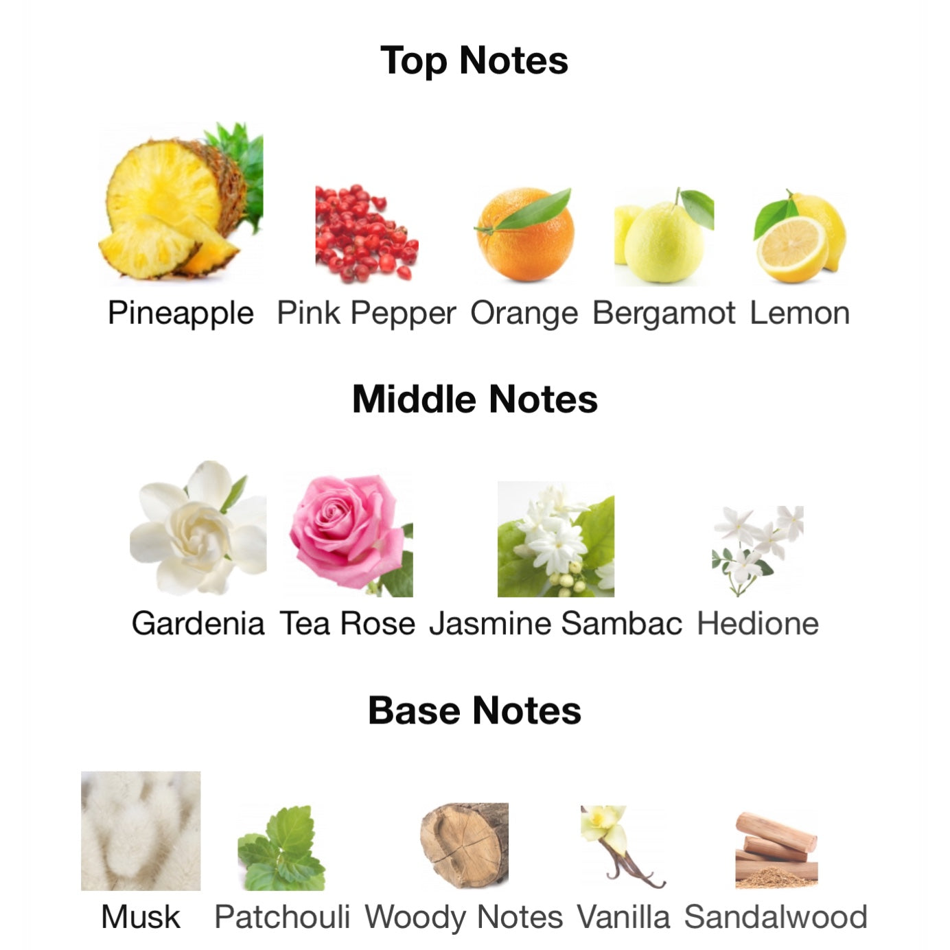 Coach Floral Eau De Parfum