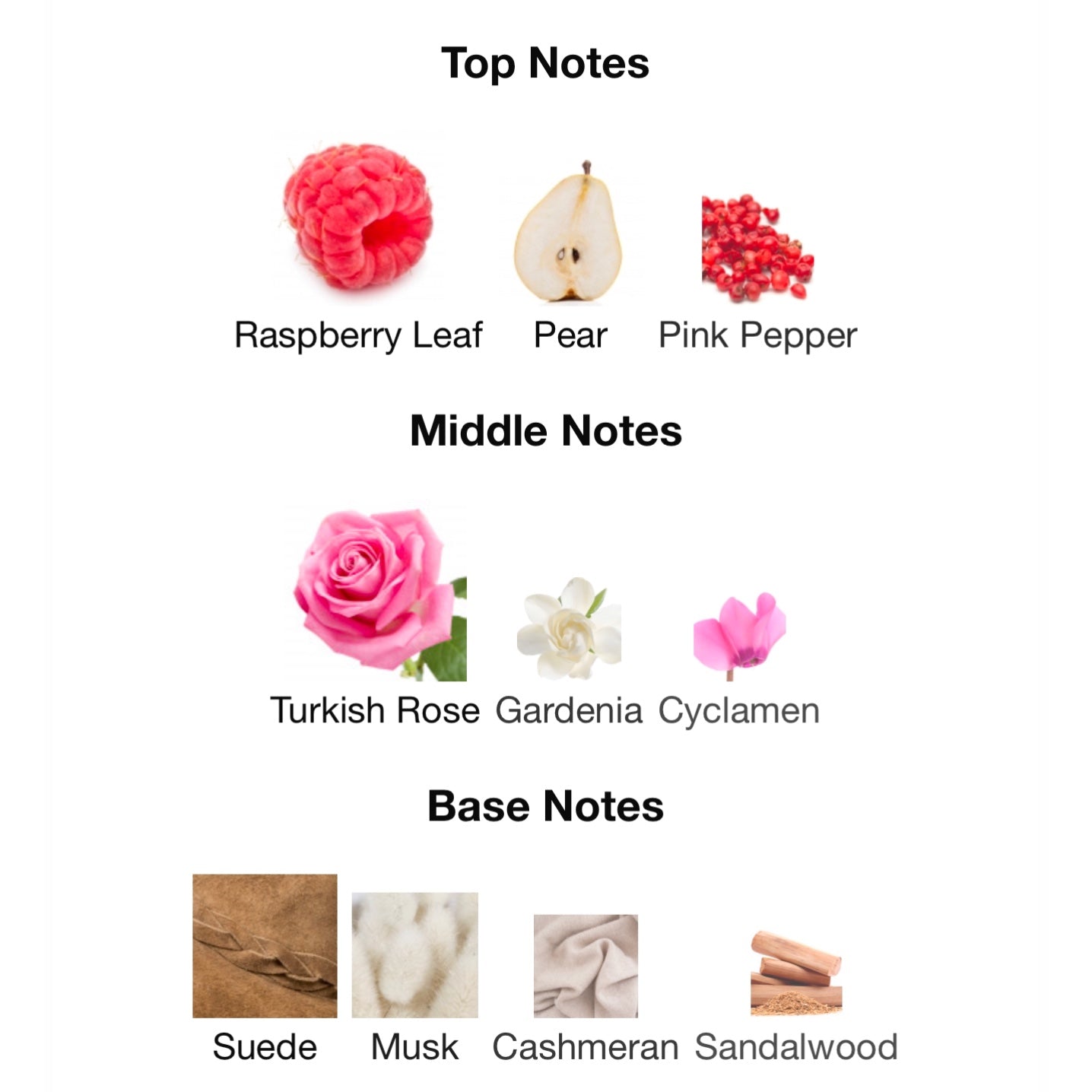 Coach The Fragrance Eau De Parfum