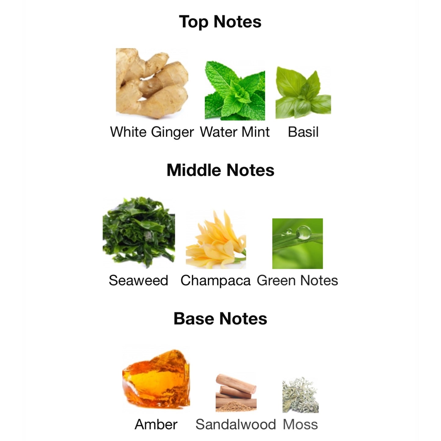 Bond .9 Island Eau De Parfum