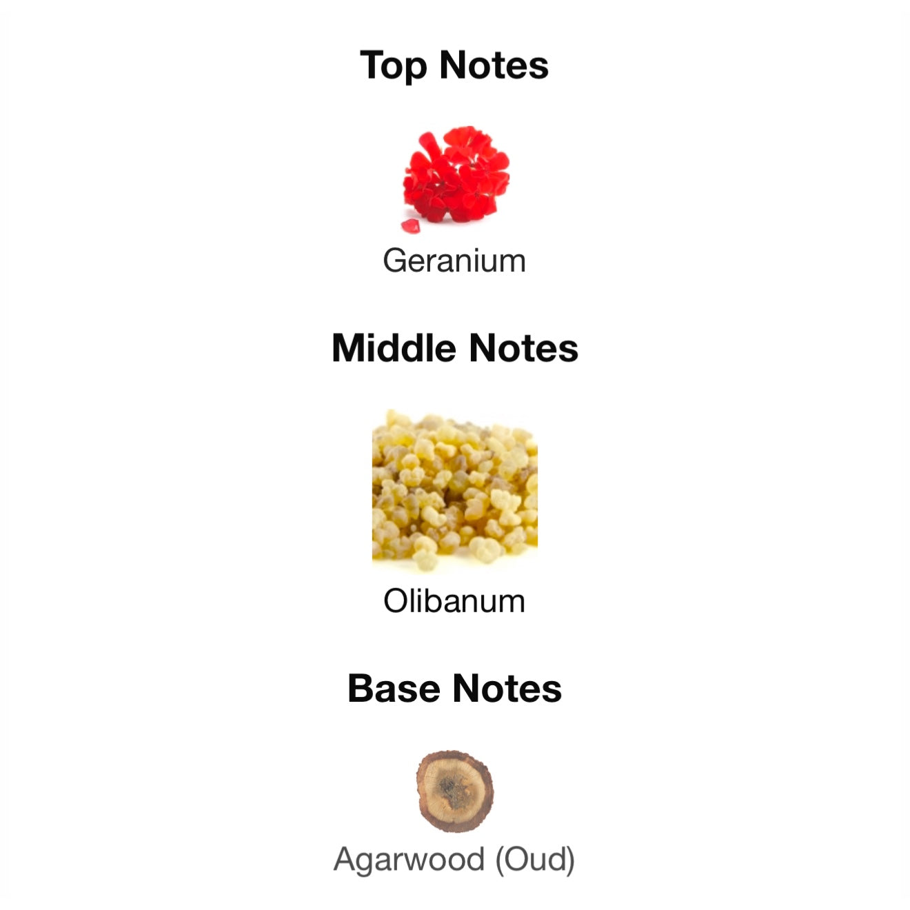 Tygar Le Gemme Bvlgari Eau De Parfum