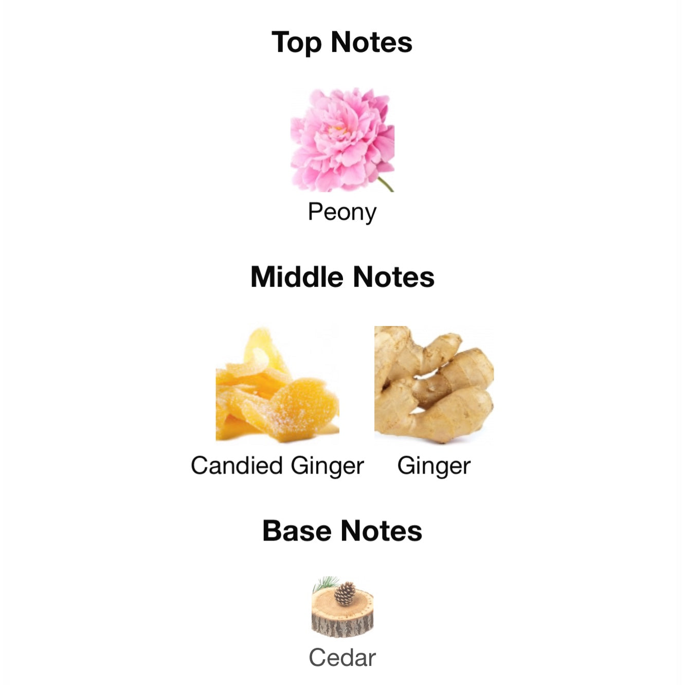 Hermes Twilly D’Hermes Eau Ginger