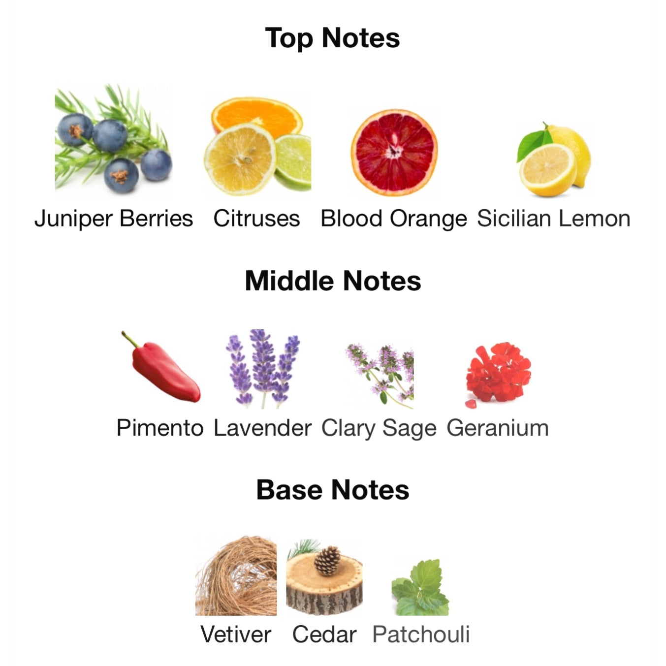 Dolce & Gabbana King Eau De Toilette