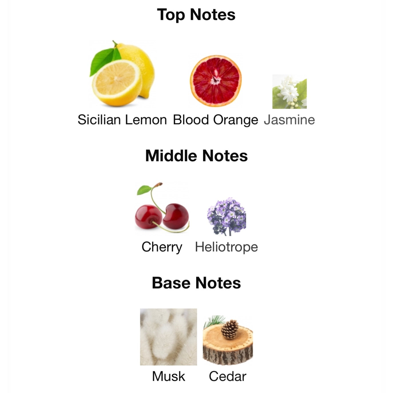 Dolce & Gabanna Queen Eau De Toilette