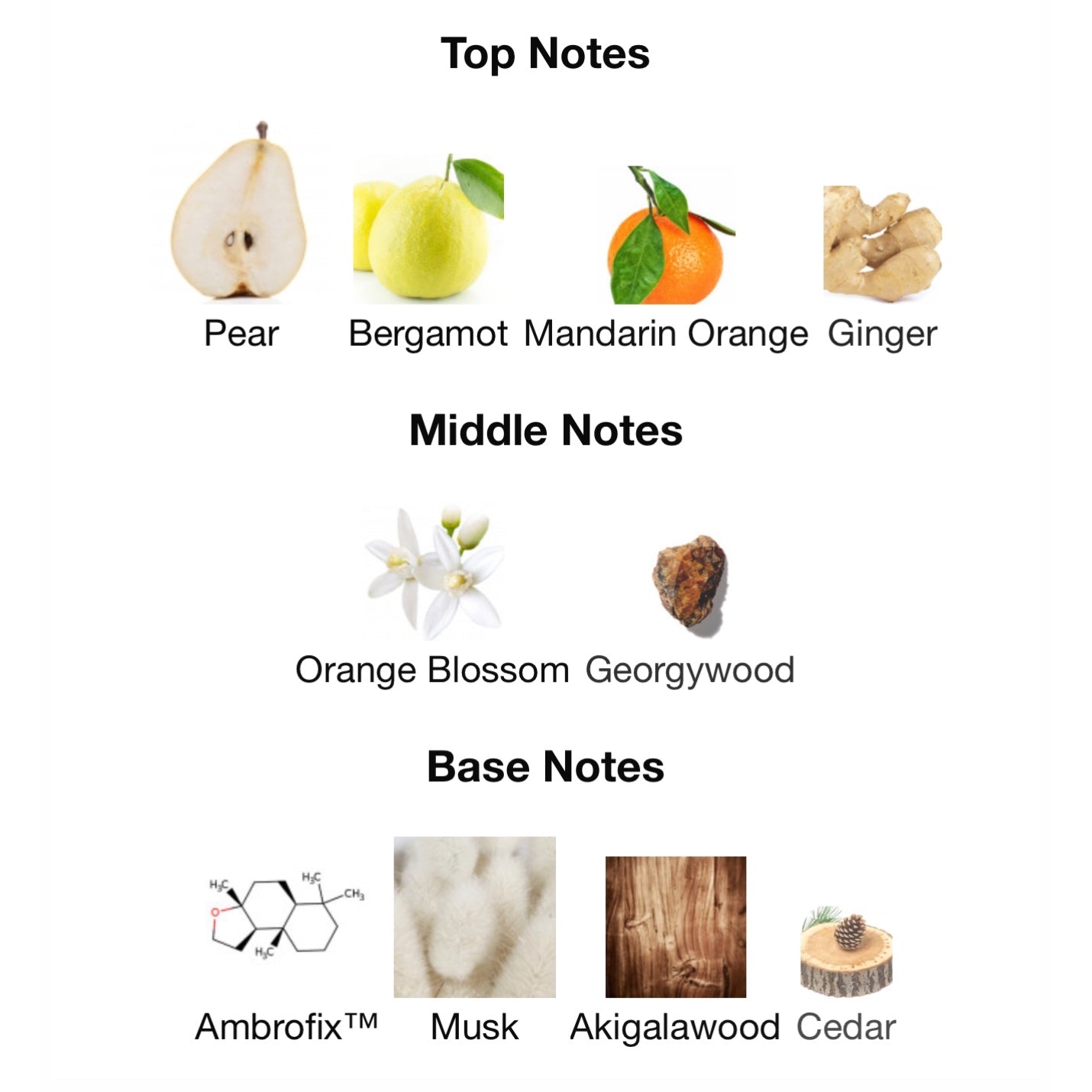 EX NIHILO Blue Talisman Eau de Parfum