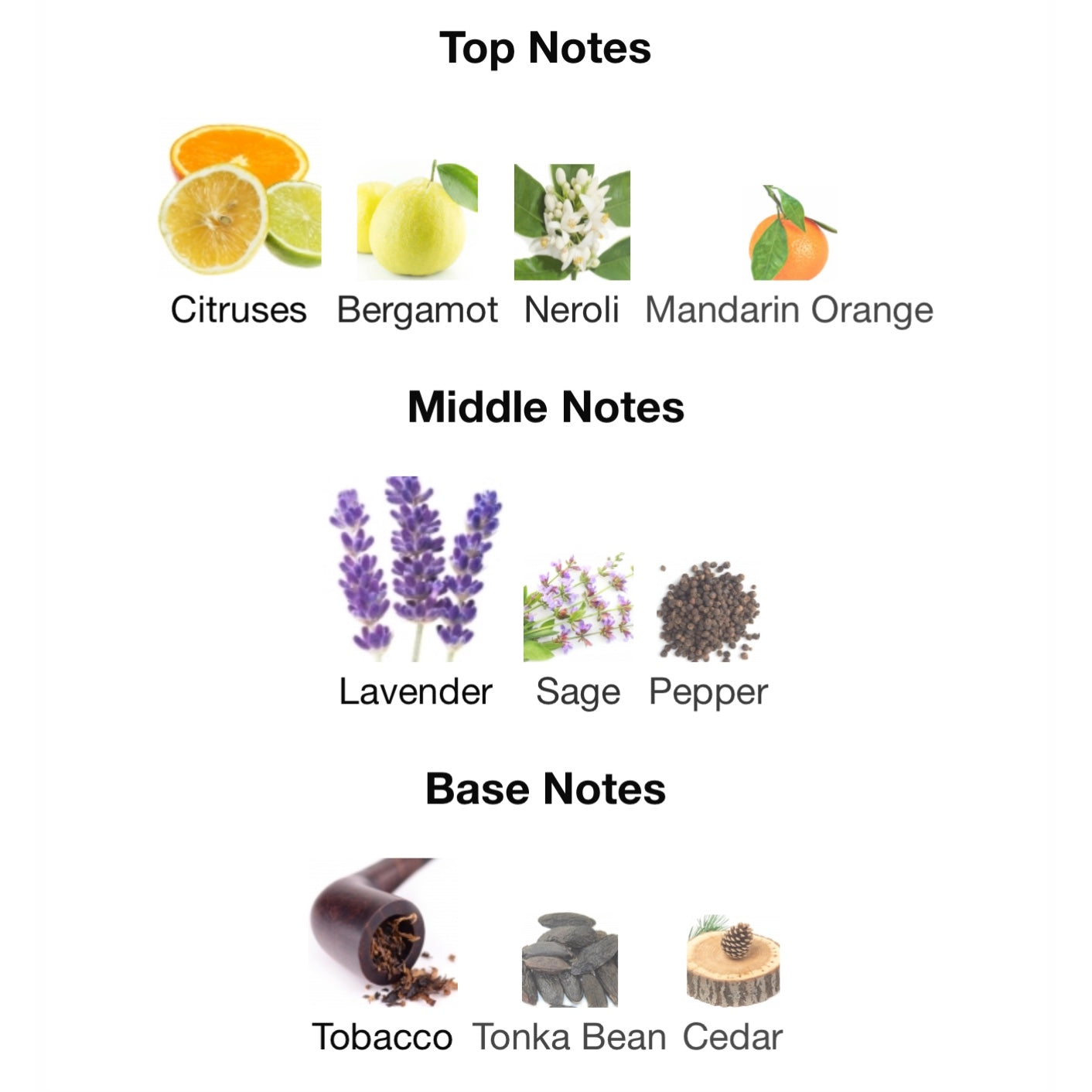 Dolce & Gabbana Pour Homme Eau De Toilette