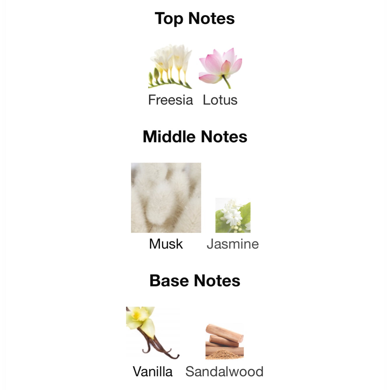 Kayali Musk 12 Eau De Parfum