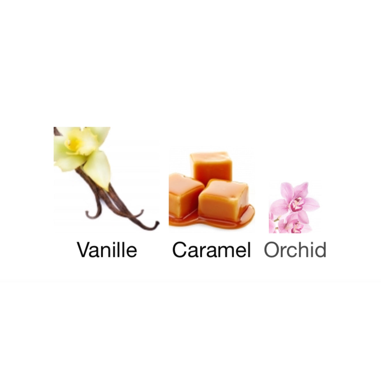Vanille West Indies By St Barth Parfum