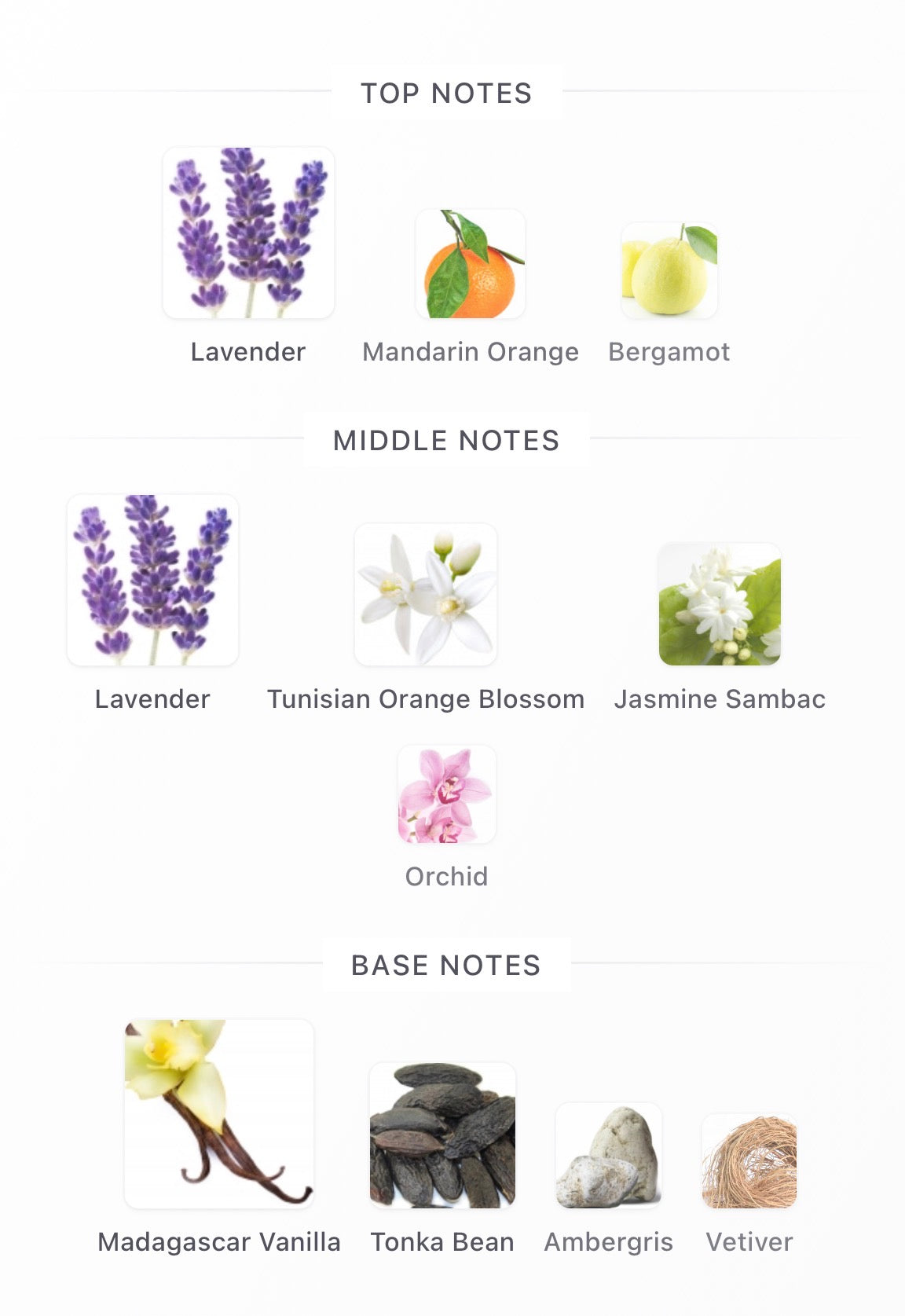 Ysl Libre Intense Eau De Parfum