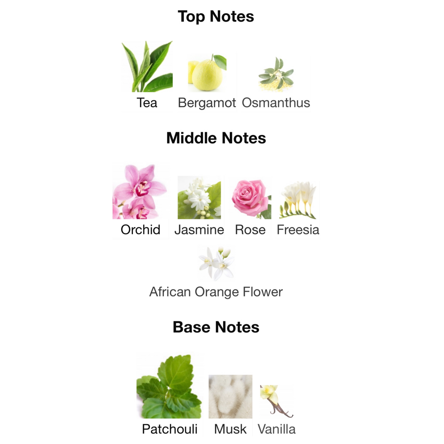 Viktor & Rolf Flowerbomb Eau De Parfum