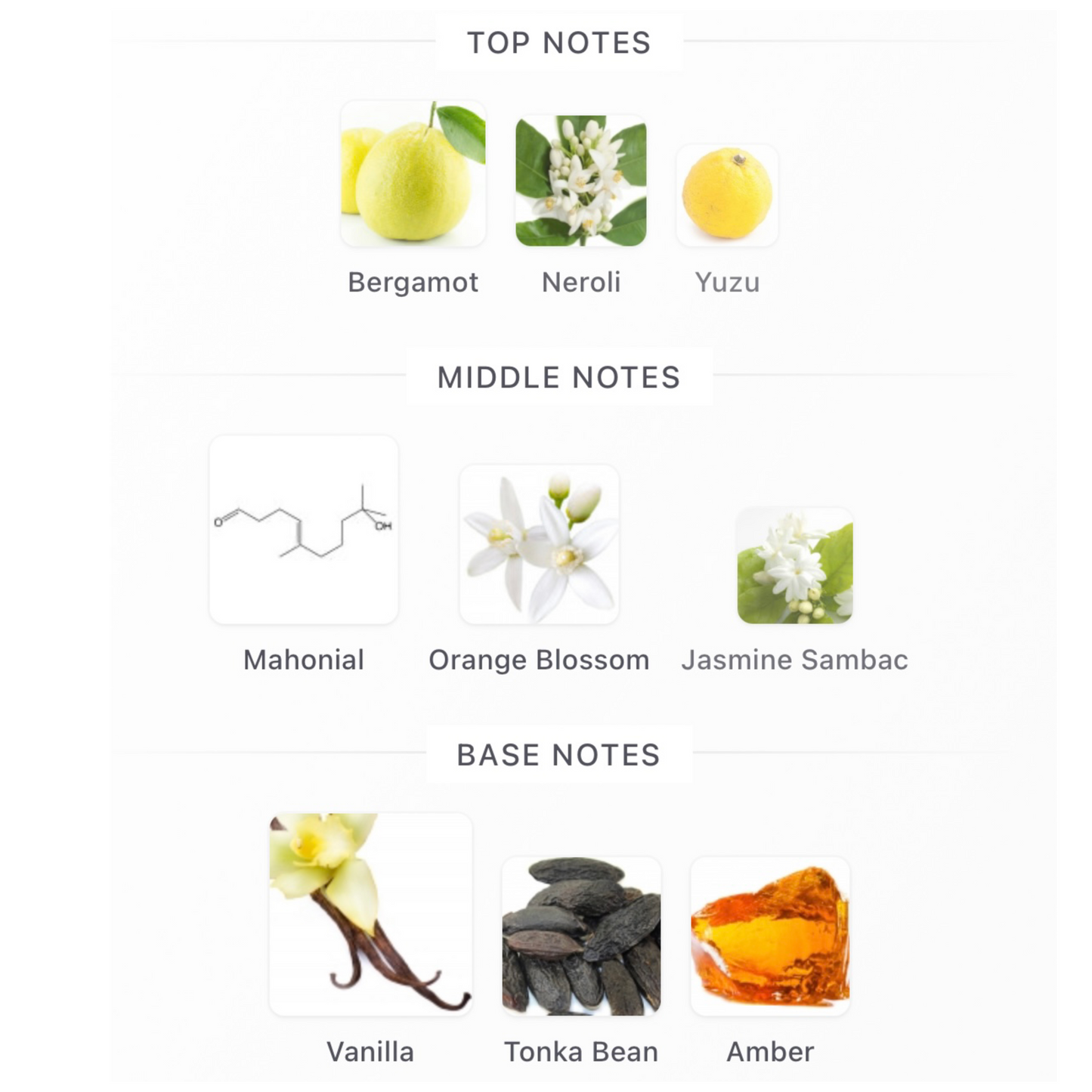 Parfums De Marly Athénaïs Eau De Parfum