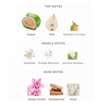 Rihanna Nude Eau de Parfum