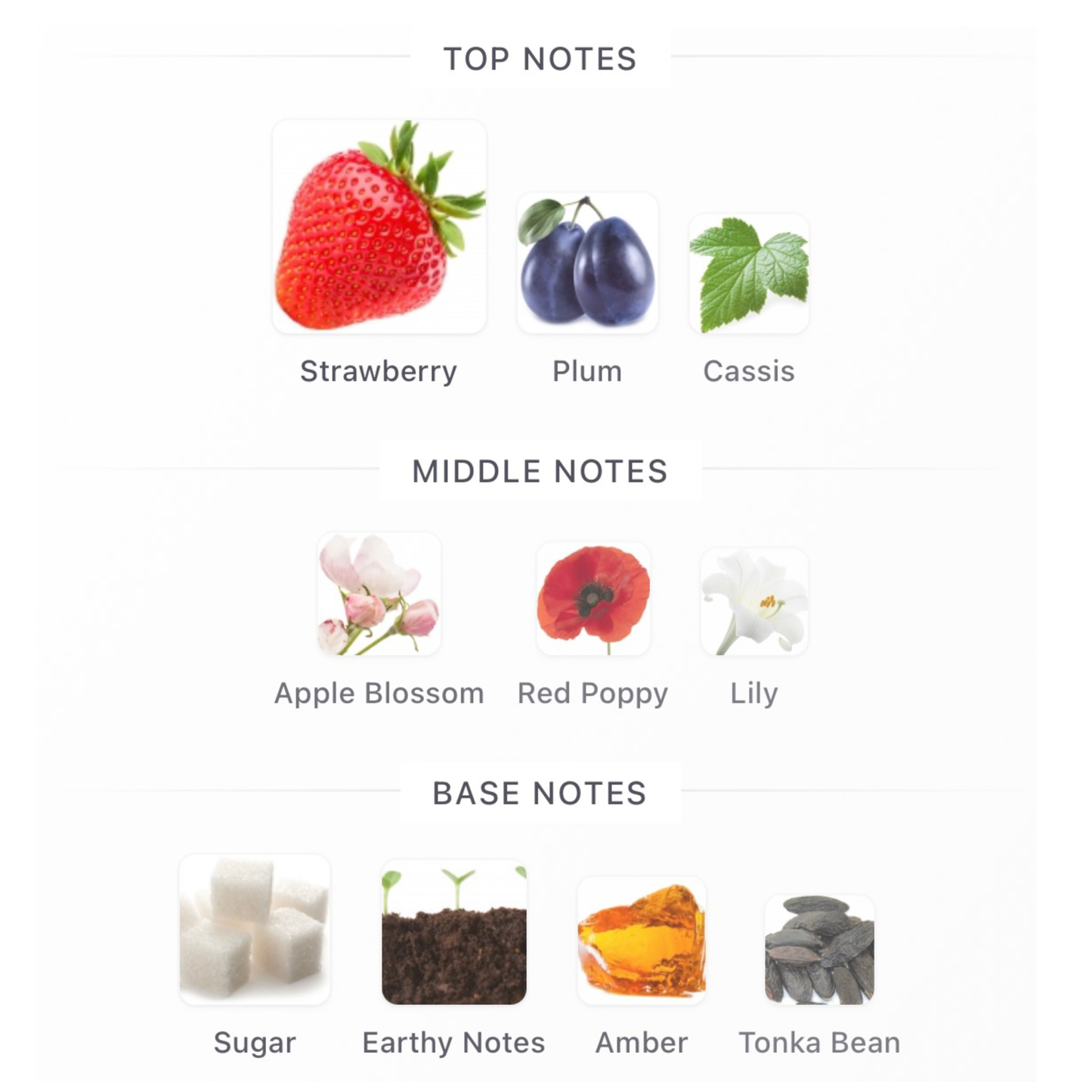 PHLUR Strawberry Letter Eau De Parfum