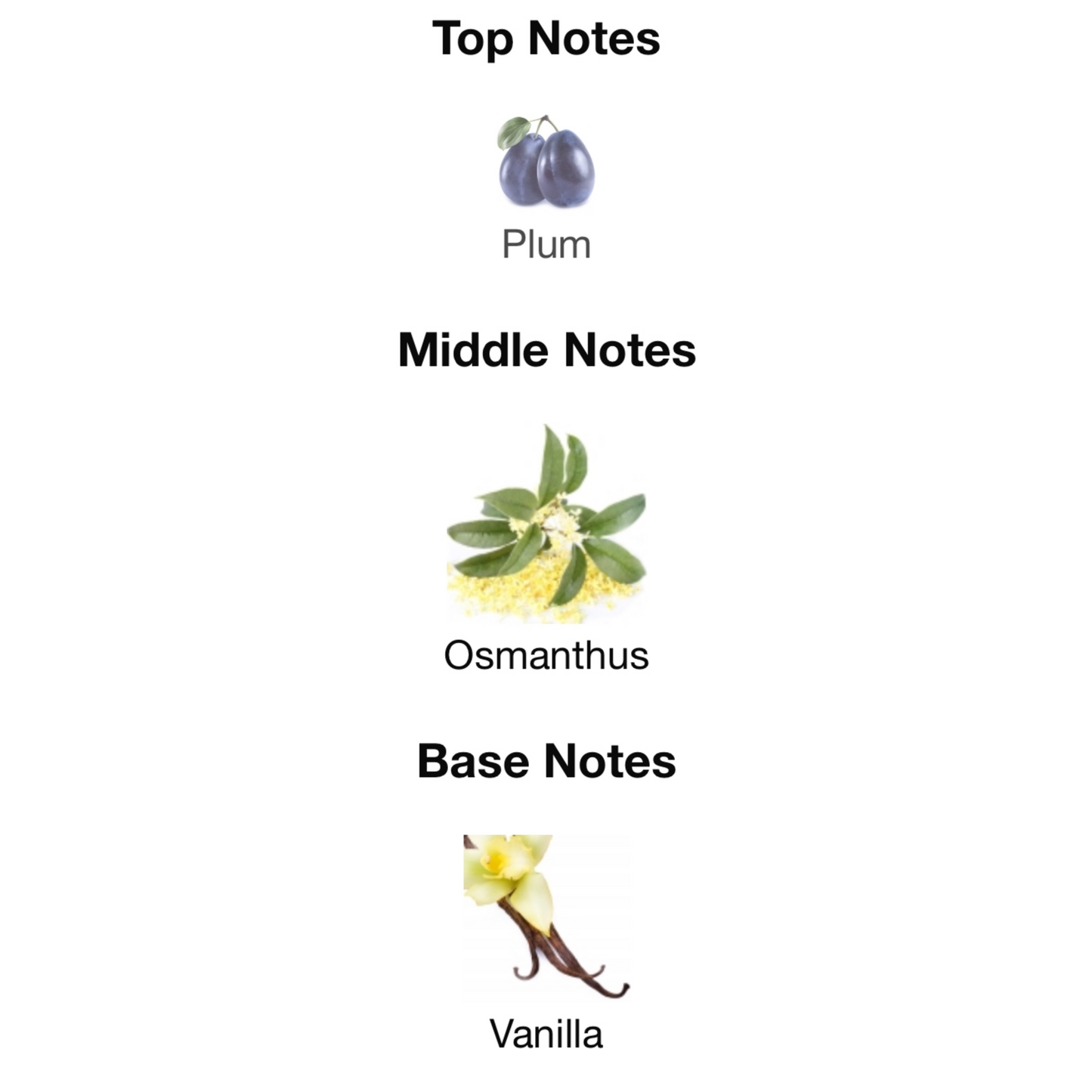 Valentino Donna Born in Roma Purple Melancholia Eau De Parfum