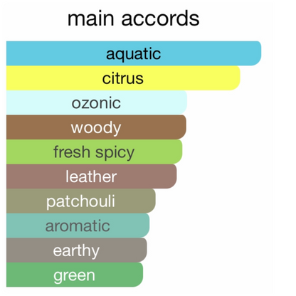 Giorgio Armani Acqua Di Gio Elixir