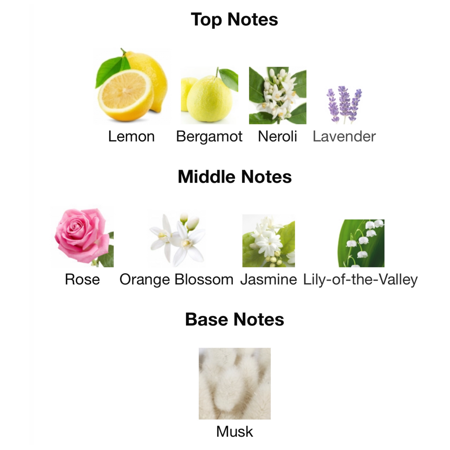 Philosophy Pure Grace Eau De Parfum