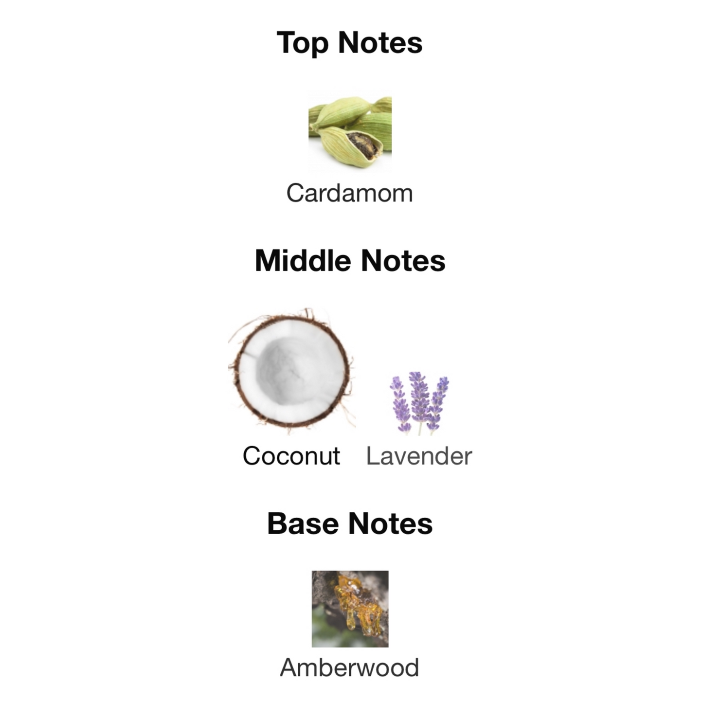 Valentino Uomo Born In Roma Purple Melancholia Eau De Parfum