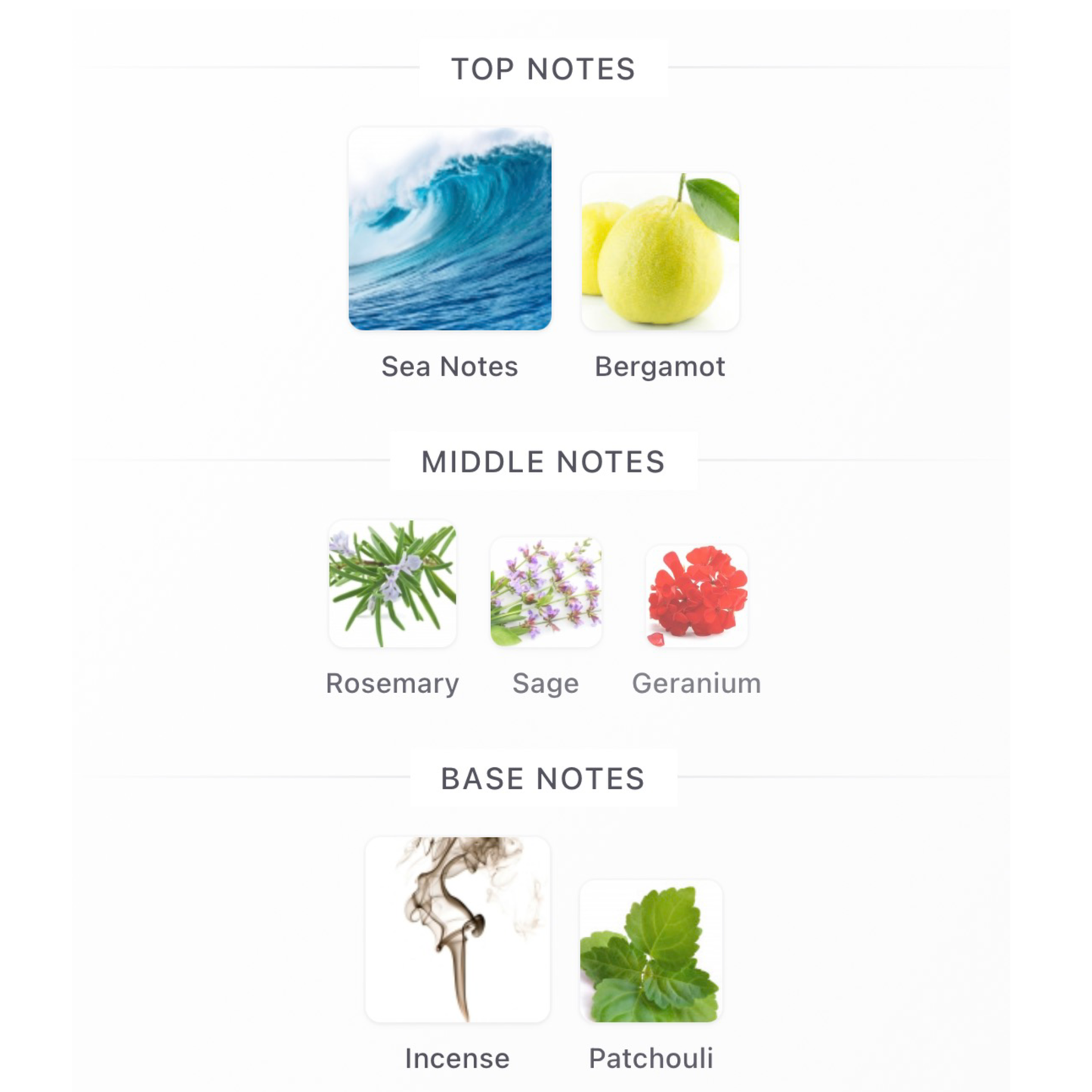 Giorgio Armani Acqua Di Gio Profumo De Parfum