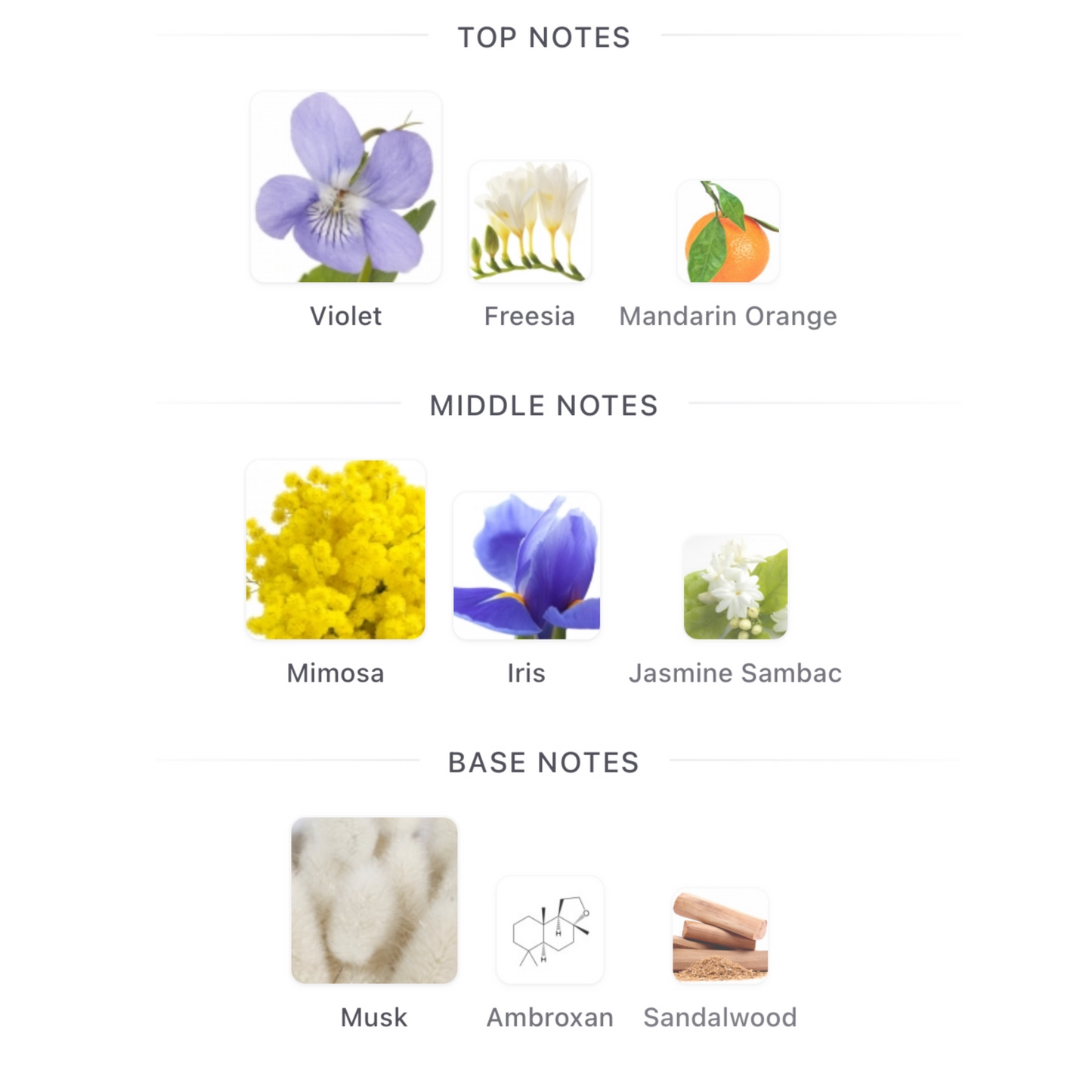 Penhaligon's The Favourite Eau De Parfum