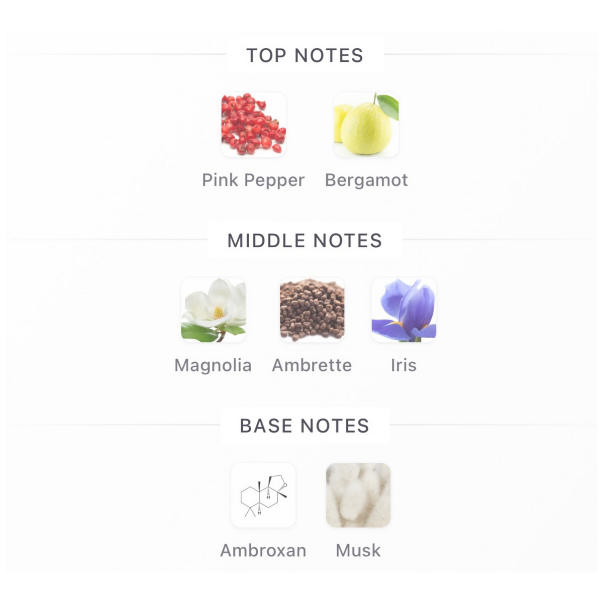 HARB'S Musk Royal Eau De Parfum