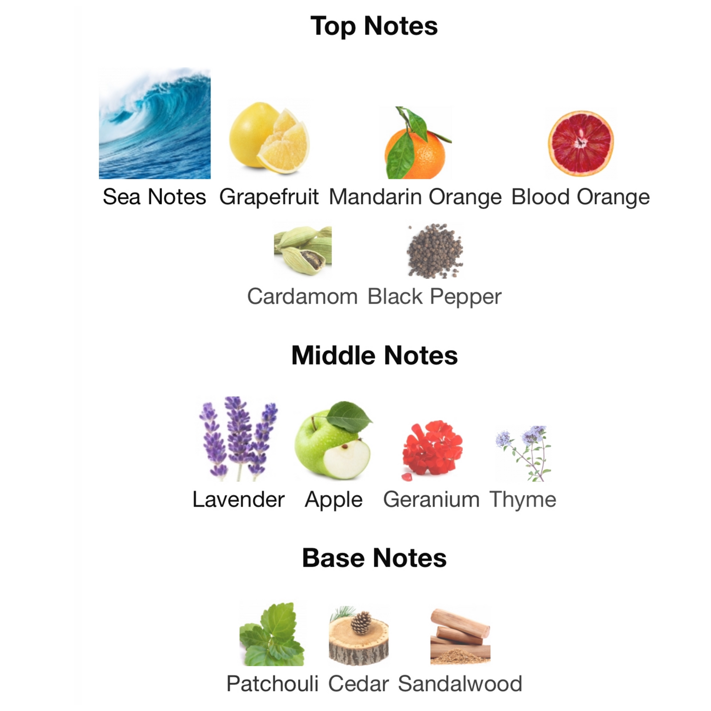 YSL L’Homme Cologne Bleue Eau De Toilette