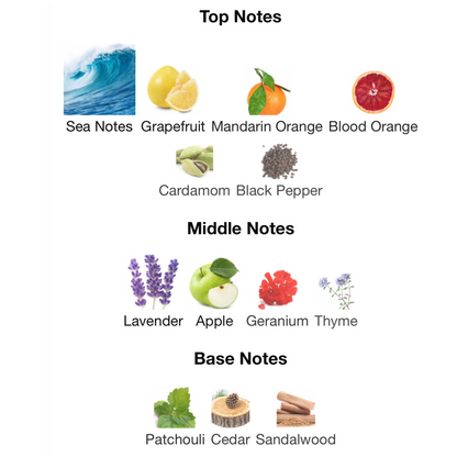 YSL L’Homme Cologne Bleue Eau De Toilette