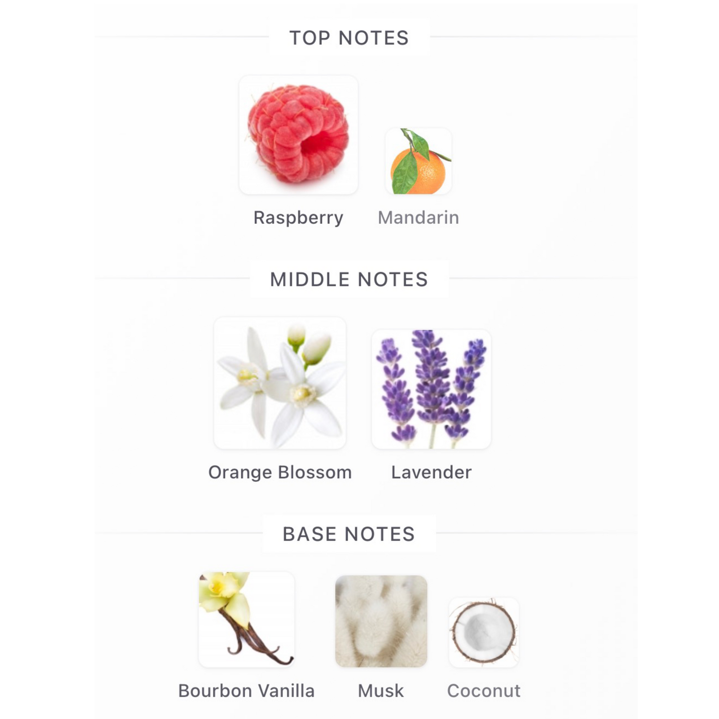 Ysl Libre Berry Crush Eau de Parfum