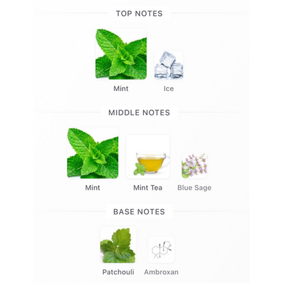 YSL Y Iced Cologne Eau De Toilette