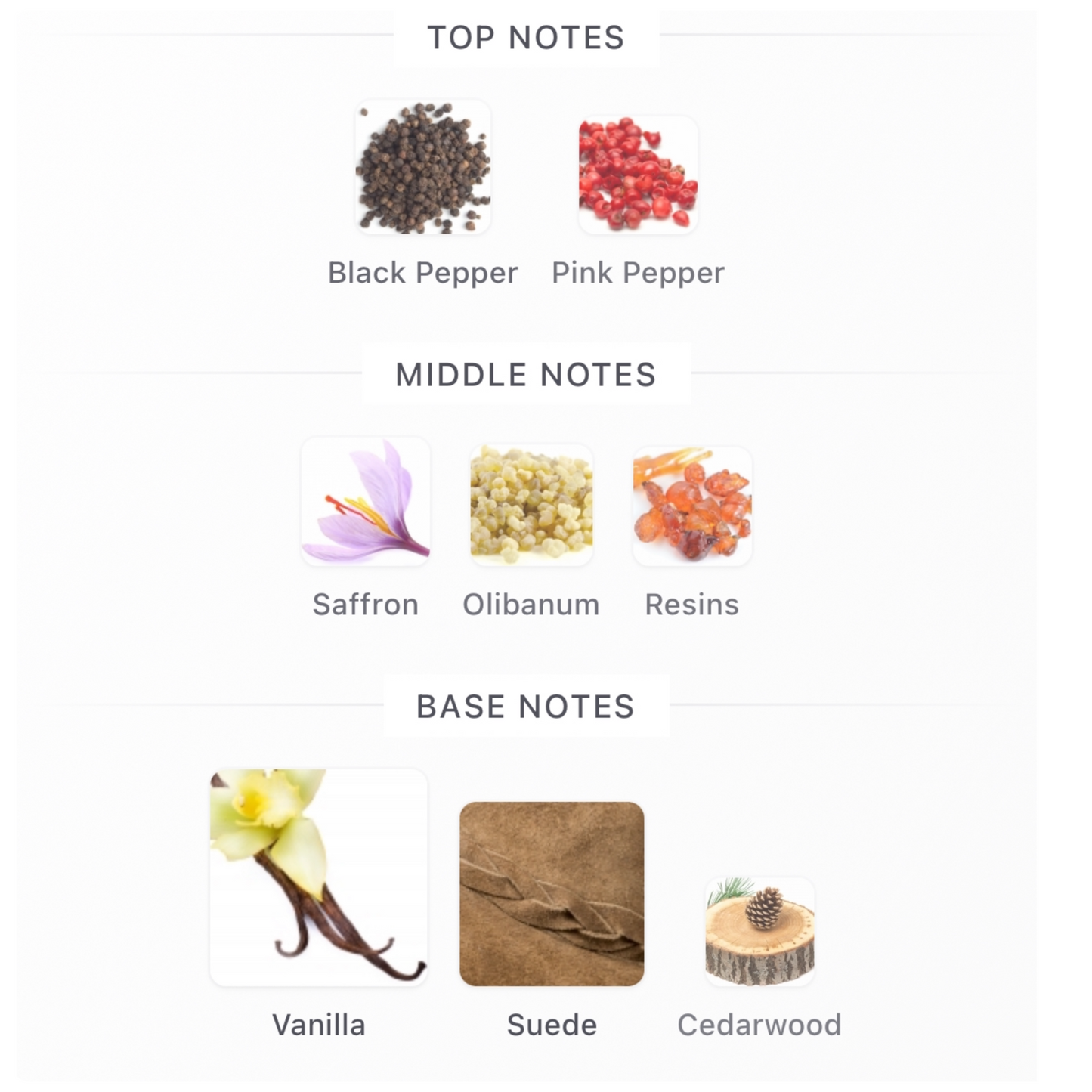 YSL Babycat Raw Bourbon Eau De Parfum