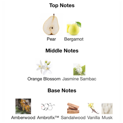 EX NIHILO Blue Talisman Extrait de Parfum