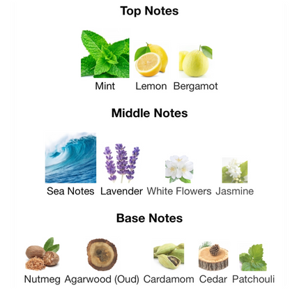 Fragrance Du Bois London Oud Parfum