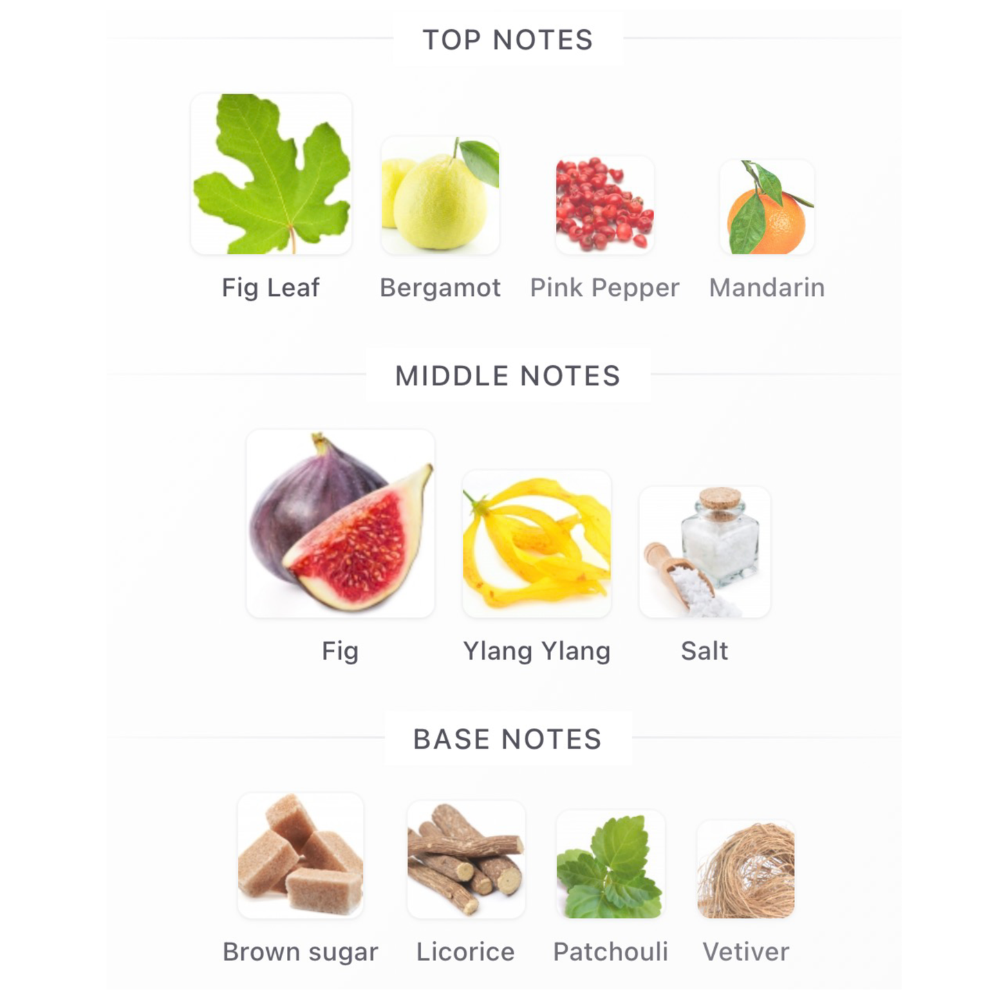 Tom Ford Figue Érotique Eau De Parfum