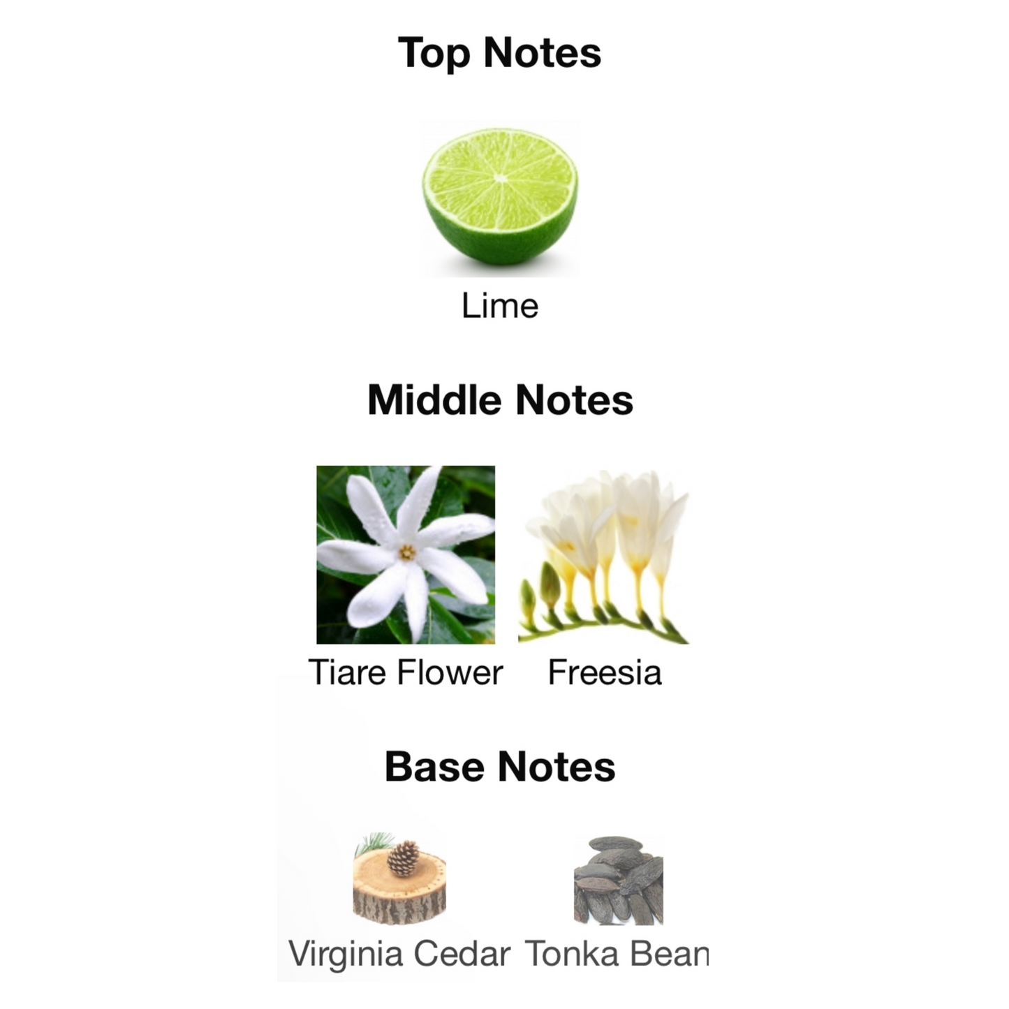 Versace Vanitas Eau De Parfum